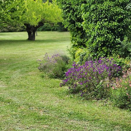 Gite De Charme 80 M², Piscine, Proche D'Uzes. Vezenobres Eksteriør billede