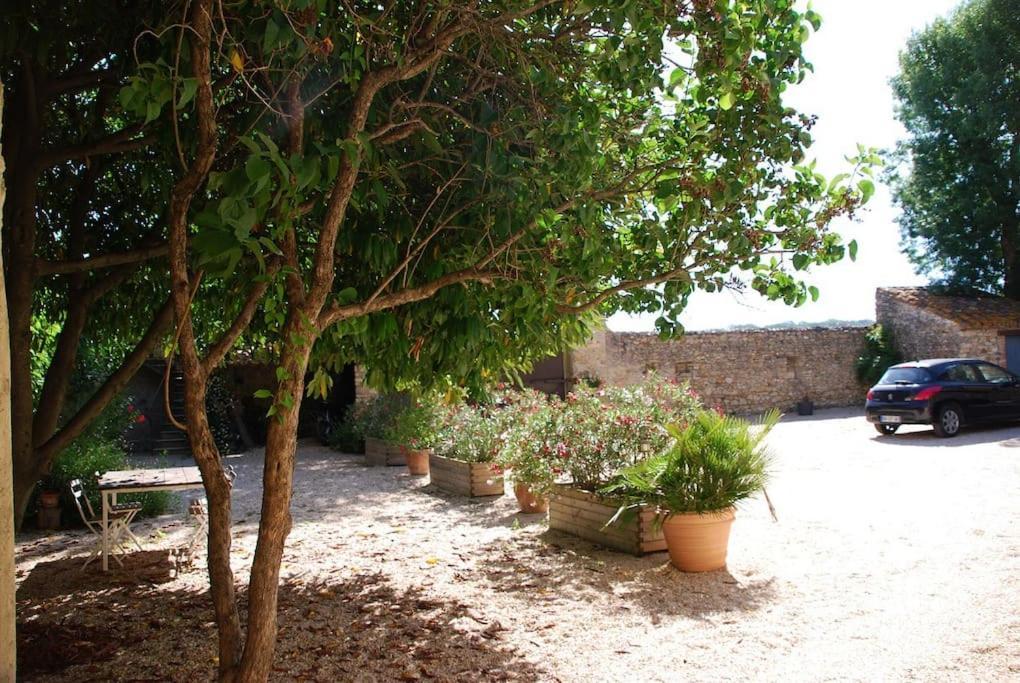 Gite De Charme 80 M², Piscine, Proche D'Uzes. Vezenobres Eksteriør billede
