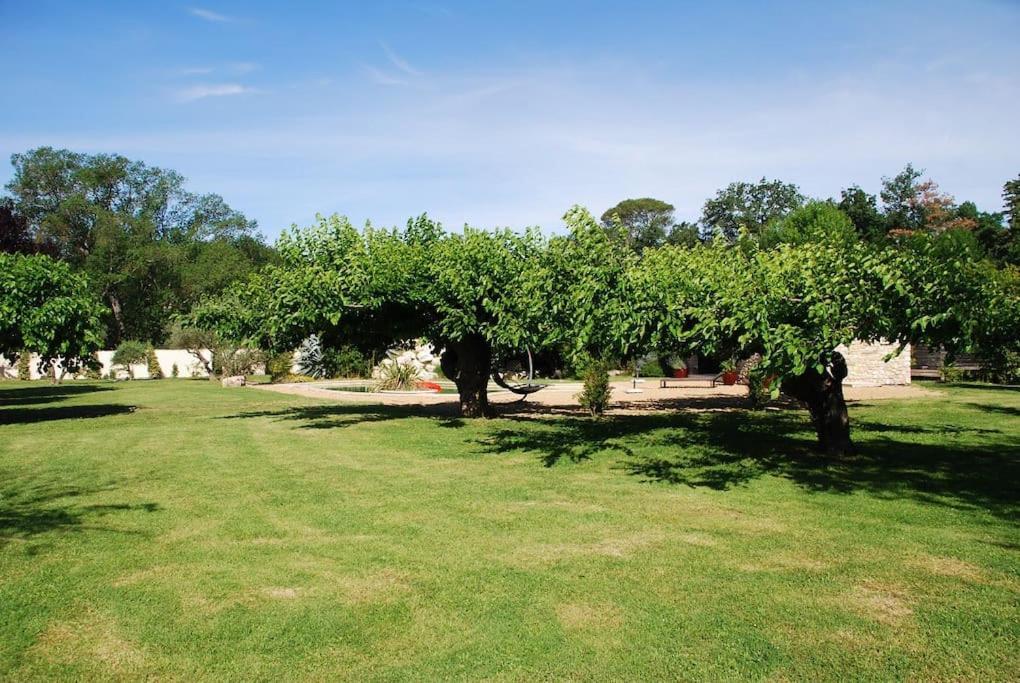 Gite De Charme 80 M², Piscine, Proche D'Uzes. Vezenobres Eksteriør billede